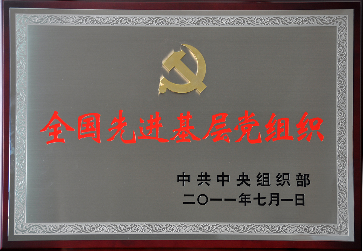 2011年7月，紅豆集團(tuán)黨委榮獲“全國(guó)先進(jìn)基層黨組織”稱(chēng)號(hào)